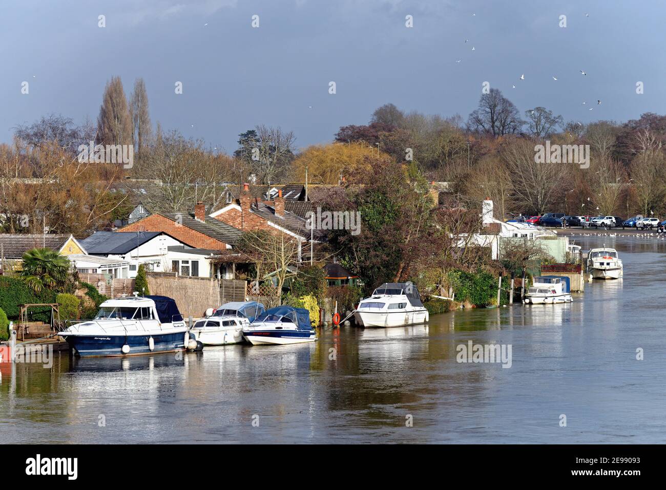 Maisons privées au bord de la rivière sur la Tamise Meadow, avec vue sur Walton Côté de la rivière Shepperton Angleterre Royaume-Uni Banque D'Images