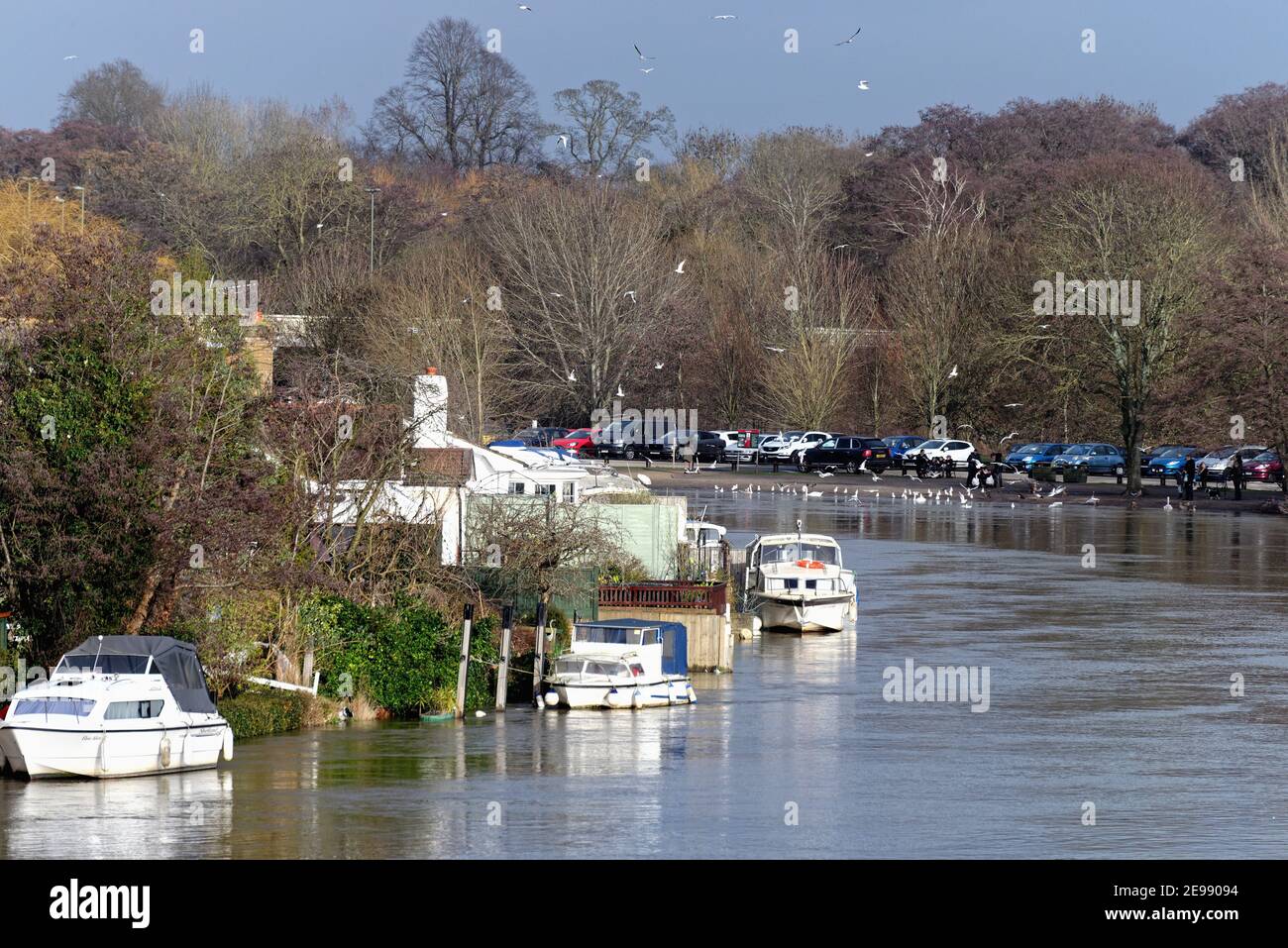 Maisons privées au bord de la rivière sur la Tamise Meadow, avec vue sur Walton Côté de la rivière Shepperton Angleterre Royaume-Uni Banque D'Images