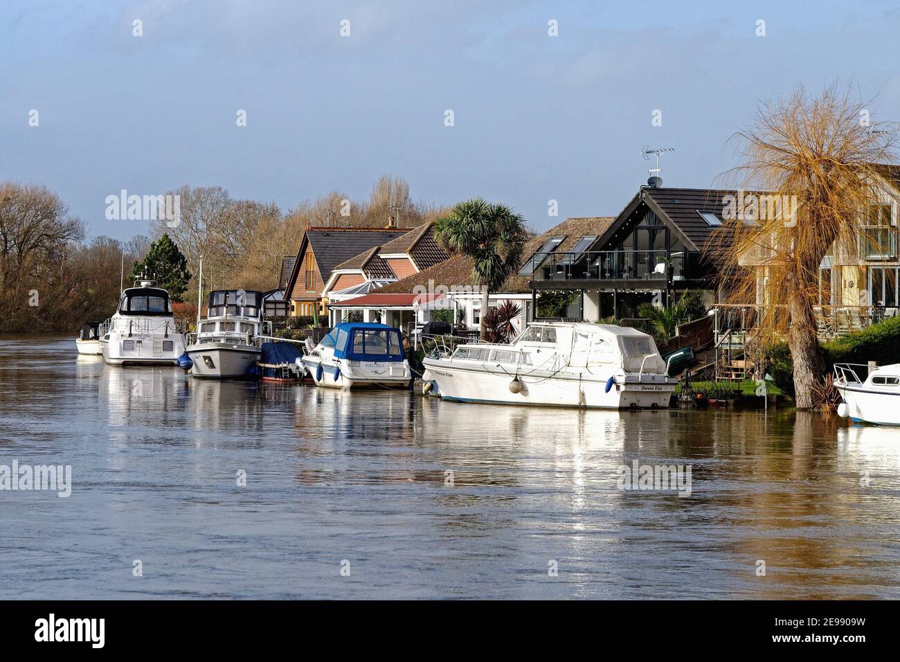 Maisons privées au bord de la rivière sur la Tamise Meadow, avec vue sur Walton Côté de la rivière Shepperton Angleterre Royaume-Uni Banque D'Images