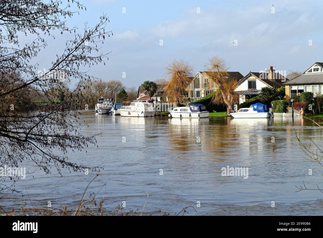 Maisons privées au bord de la rivière sur la Tamise Meadow, avec vue sur Walton Côté de la rivière Shepperton Angleterre Royaume-Uni Banque D'Images