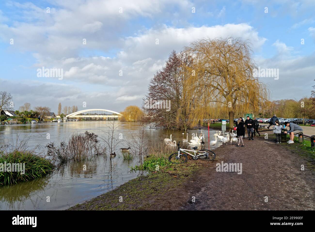 Le bord de la rivière à Walton sur la Tamise avec des oiseaux sauvages sur le remblai avec pont routier en arrière-plan le jour de l'hiver, Surrey, Angleterre, Royaume-Uni Banque D'Images