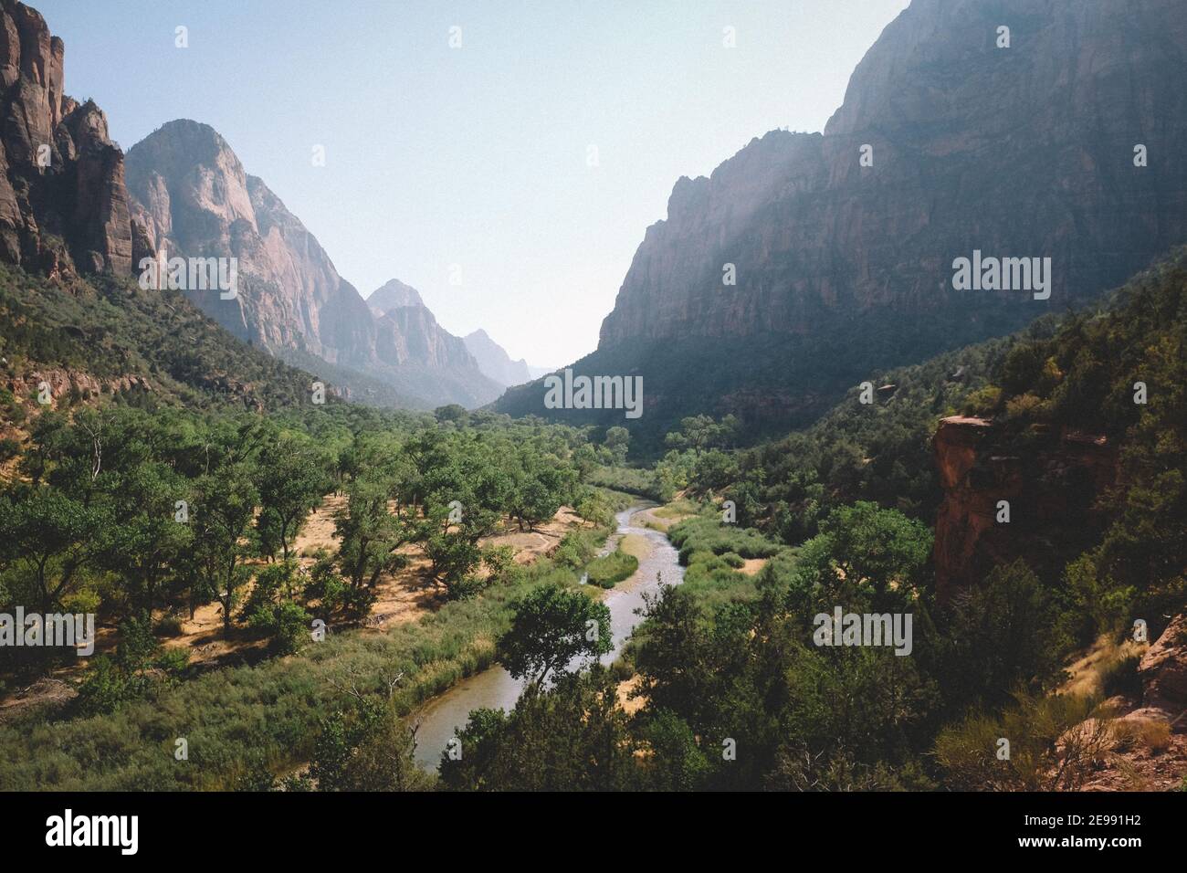 Zion Canyon et la Virgin River dans un après-midi ensoleillé En automne Banque D'Images
