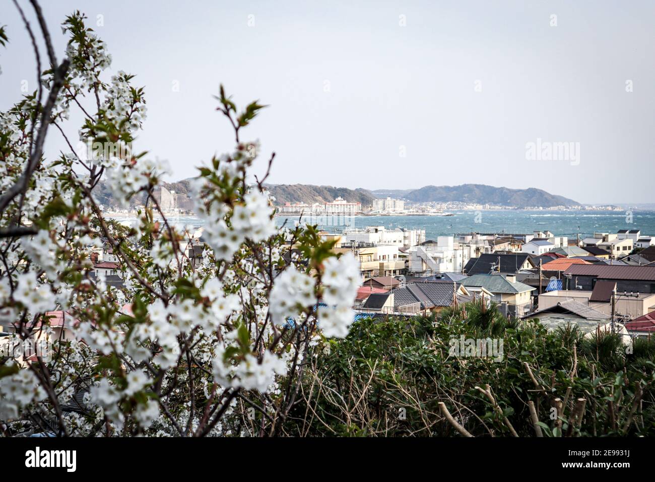 Cette série de photos veut souligner les différents scénarios au Japon pendant deux semaines de vacances à travers la plus grande île, Honshu. Banque D'Images
