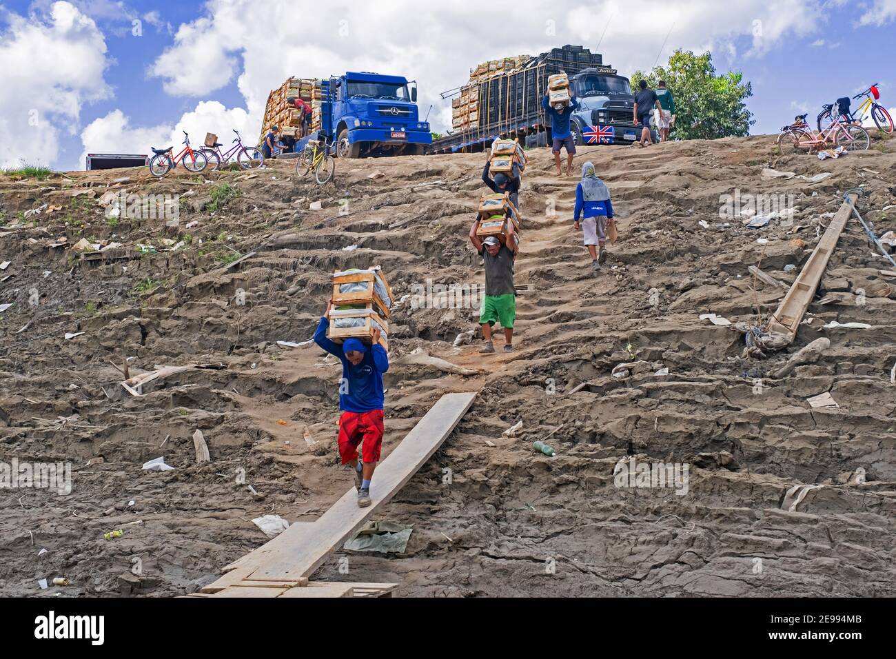 Les travailleurs manuels chargent les bananes des camions aux passagers et aux navires de fret intérieurs sur la rivière Amazone à Porto Velho, Rondônia, Brésil Banque D'Images