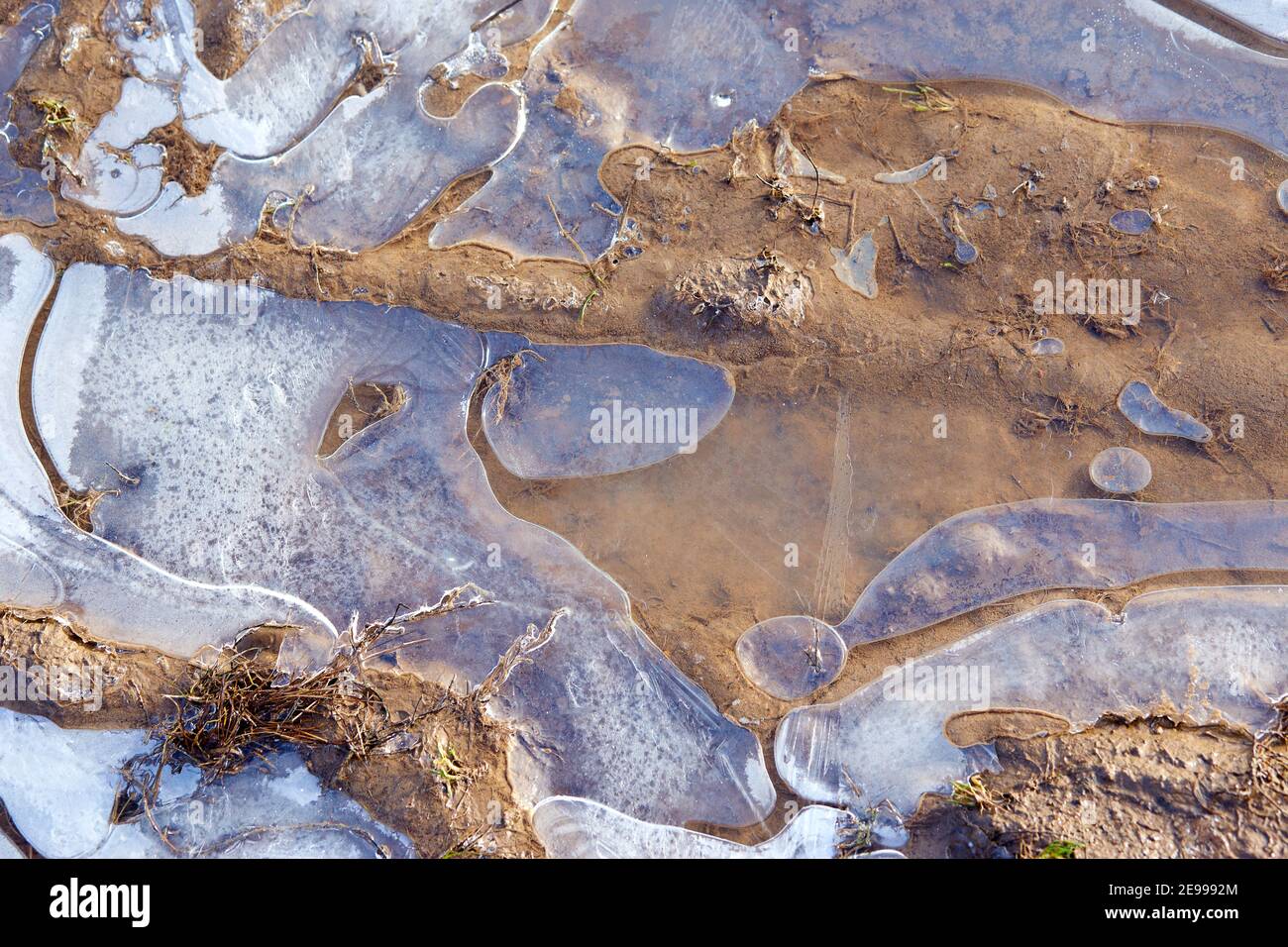 La surface de l'eau gelée dans une petite flaque, la neige et le sable se trouvent sur le dessus.gros plan.Air gelé dans la glace crée des bulles blanches. Le premier automne se froste. Banque D'Images