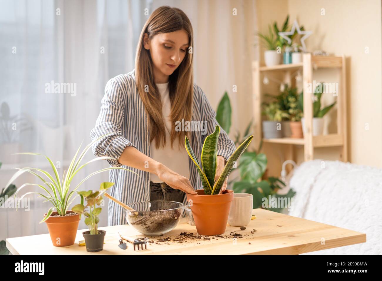 Femme jardiniers arrosoir plante Banque D'Images