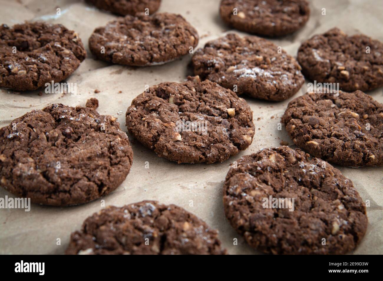 Petits gâteaux au chocolat frais faits maison sur papier de cuisson. Banque D'Images