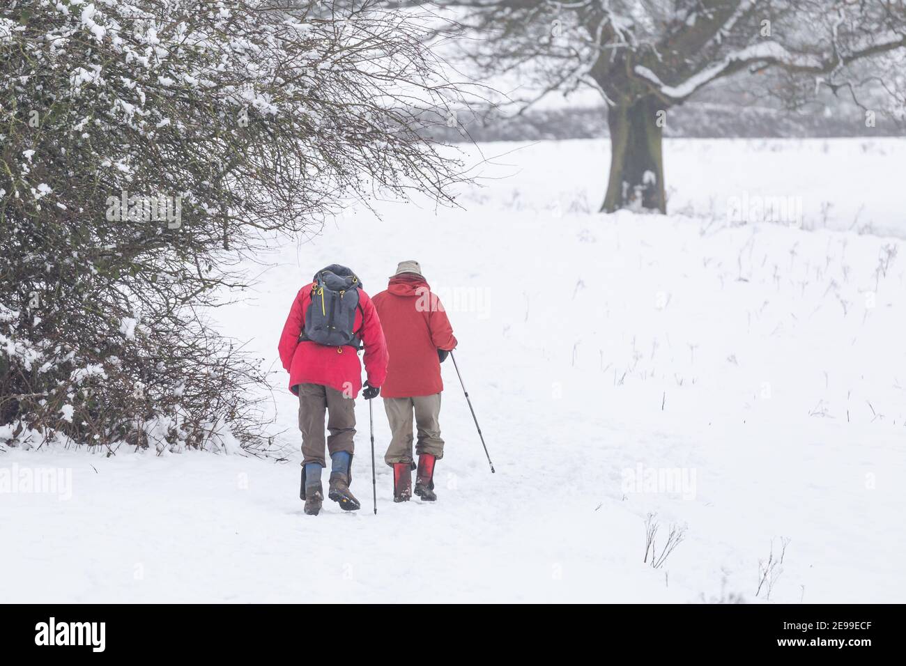 Deux hommes marchant dans des champs enneigés. Banque D'Images