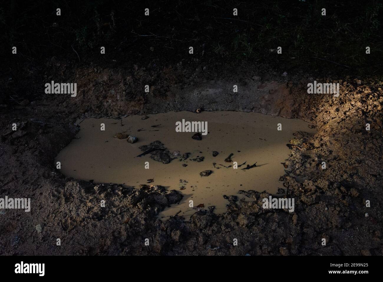 De l'eau brun foncé dans une flaque boueuse. Banque D'Images