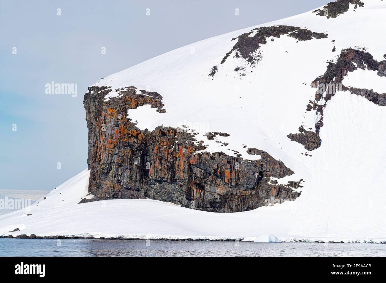 Falaise de basalte exposée couverte de lichens dans le port de Mikkelsen, île Trinity, Antarctique. Banque D'Images