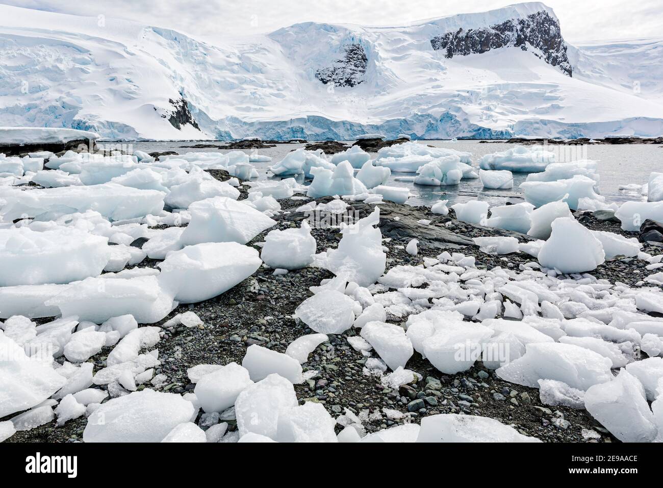 La glace à briss est échouée sur la plage à marée basse dans le port de Mikkelsen, île Trinity, Antarctique. Banque D'Images