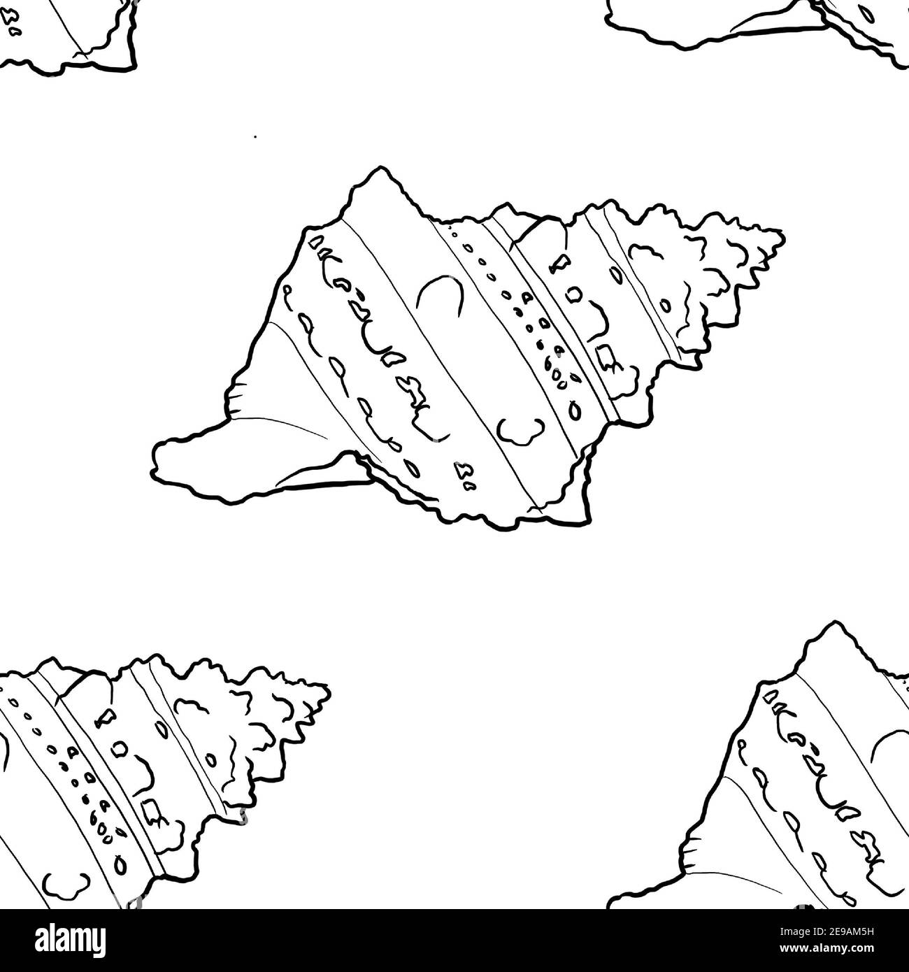 Motif de fond de mer. Illustration aquarelle de haute qualité. Design marin Banque D'Images