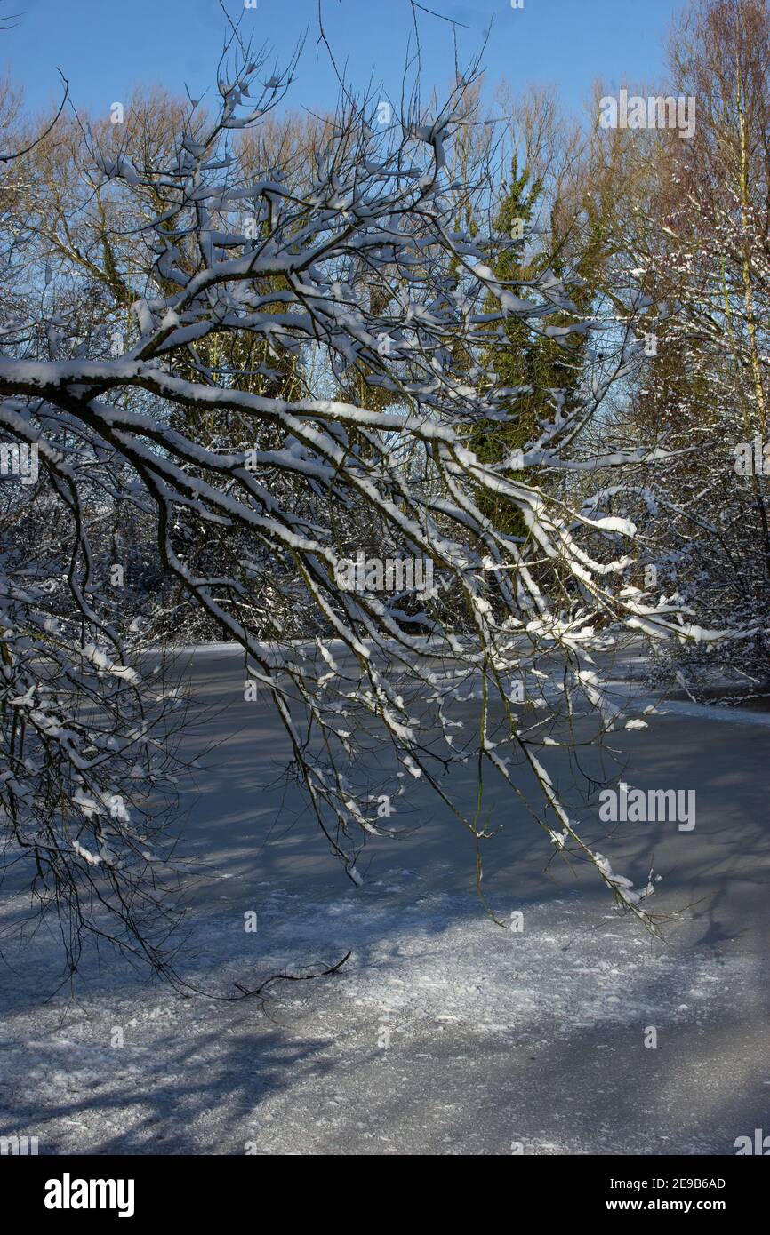 Hiver dans Watermead Park à Leicester, belle neige fraîche et jour ensoleillé. Ciel bleu fantastique. Banque D'Images
