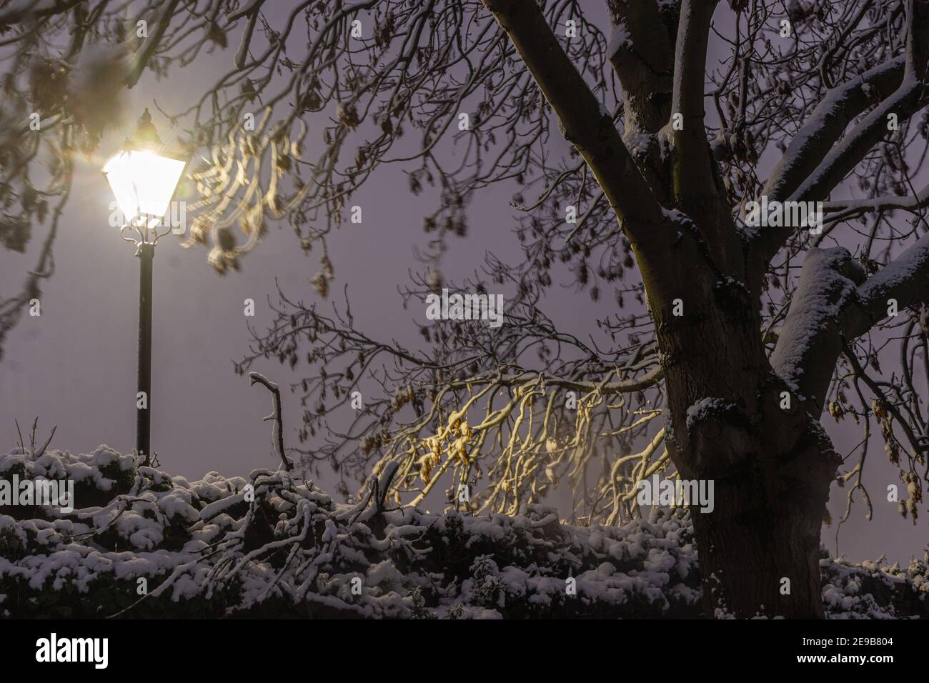Une promenade en soirée dans le parc enneigé de l'abbaye. Il était nuageux et neigeux. Mais à l'heure actuelle, le parc est encore plus impressionnant Banque D'Images