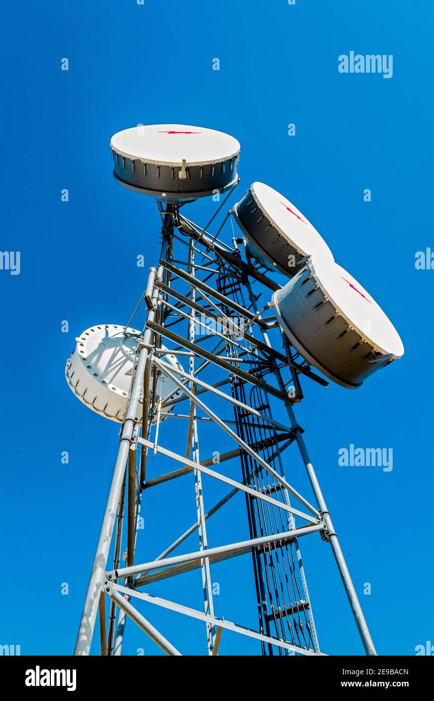 Téléphone micro-ondes radio tour avec 4 antennes paraboliques contre le  ciel bleu Photo Stock - Alamy