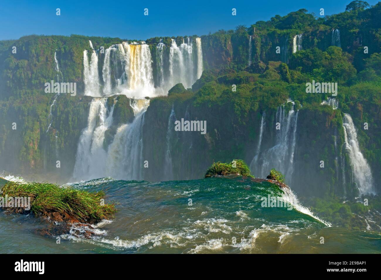 Dans le pays des chutes d'eau à Iguazu Falls au Brésil Banque D'Images