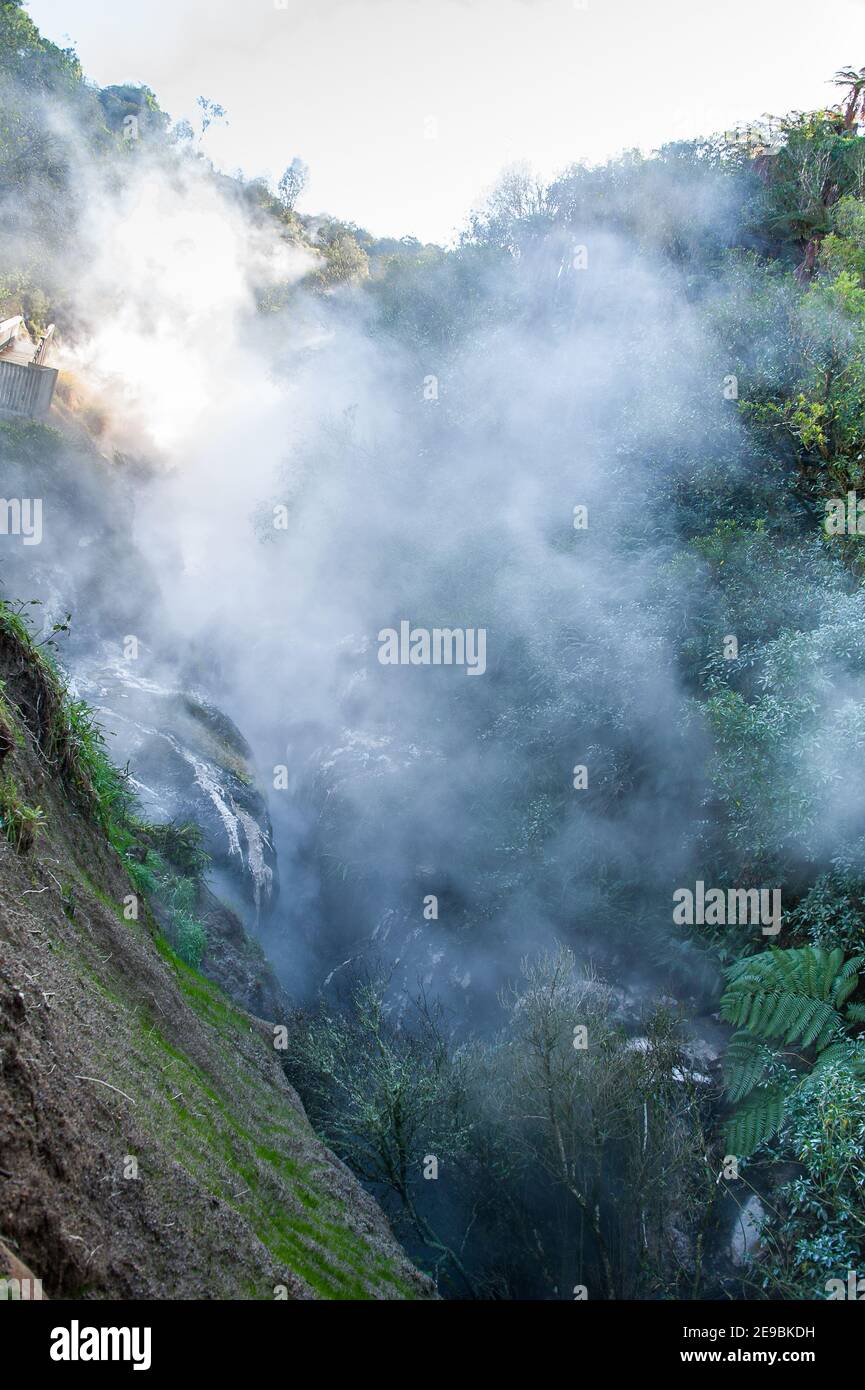 Vallée volcanique de Waimangu, Nouvelle-Zélande. Montée de vapeur d'une vallée à flancs escarpés dans un paysage de forêt pluviale préhistorique. Banque D'Images