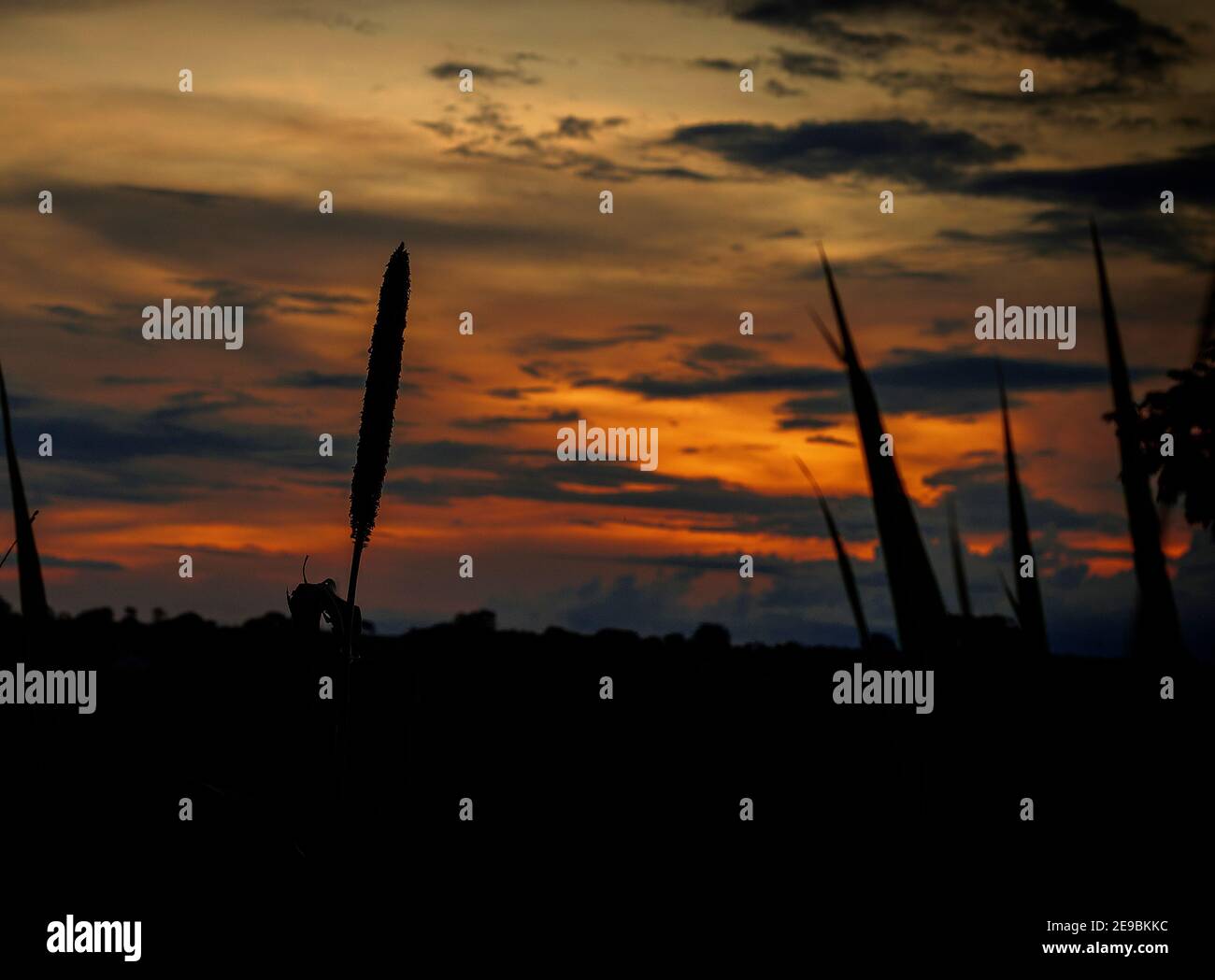 Midwest brésilien Lanscapes avec coucher de soleil et de beaux endroits Banque D'Images