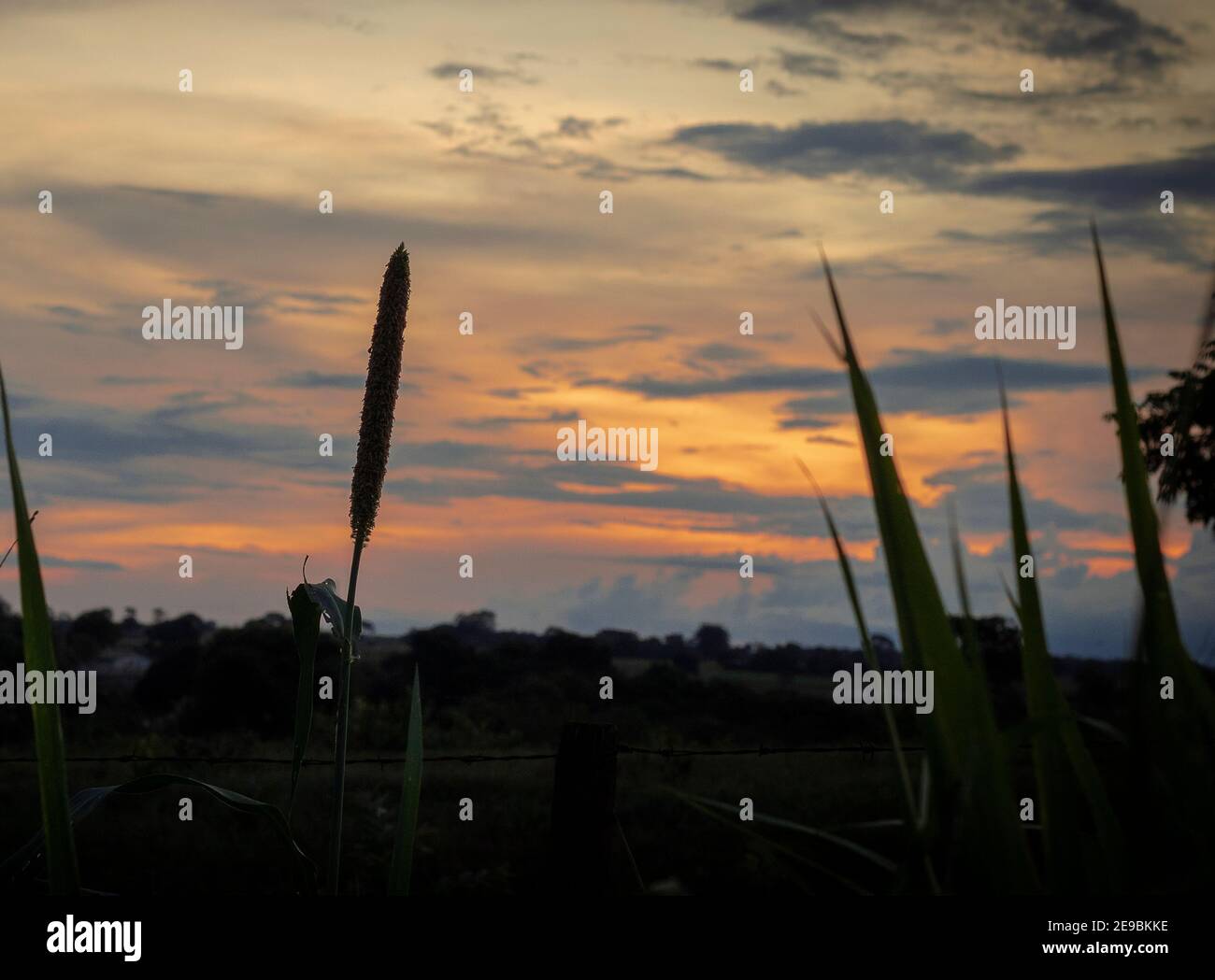 Midwest brésilien Lanscapes avec coucher de soleil et de beaux endroits Banque D'Images