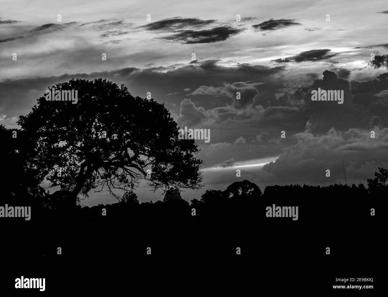 Midwest brésilien Lanscapes avec coucher de soleil et de beaux endroits Banque D'Images