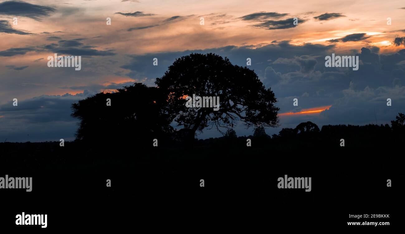 Midwest brésilien Lanscapes avec coucher de soleil et de beaux endroits Banque D'Images