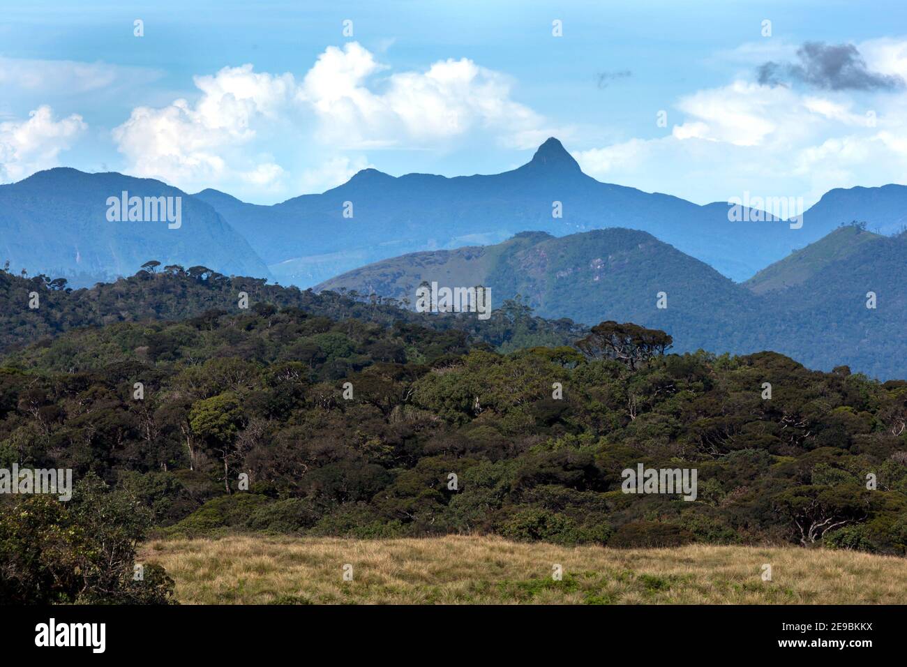 Une vue montrant la spectaculaire chaîne de montagnes vue de près du parc national de Horton Plains au Sri Lanka. Le point le plus élevé est le célèbre Adams Peak. Banque D'Images