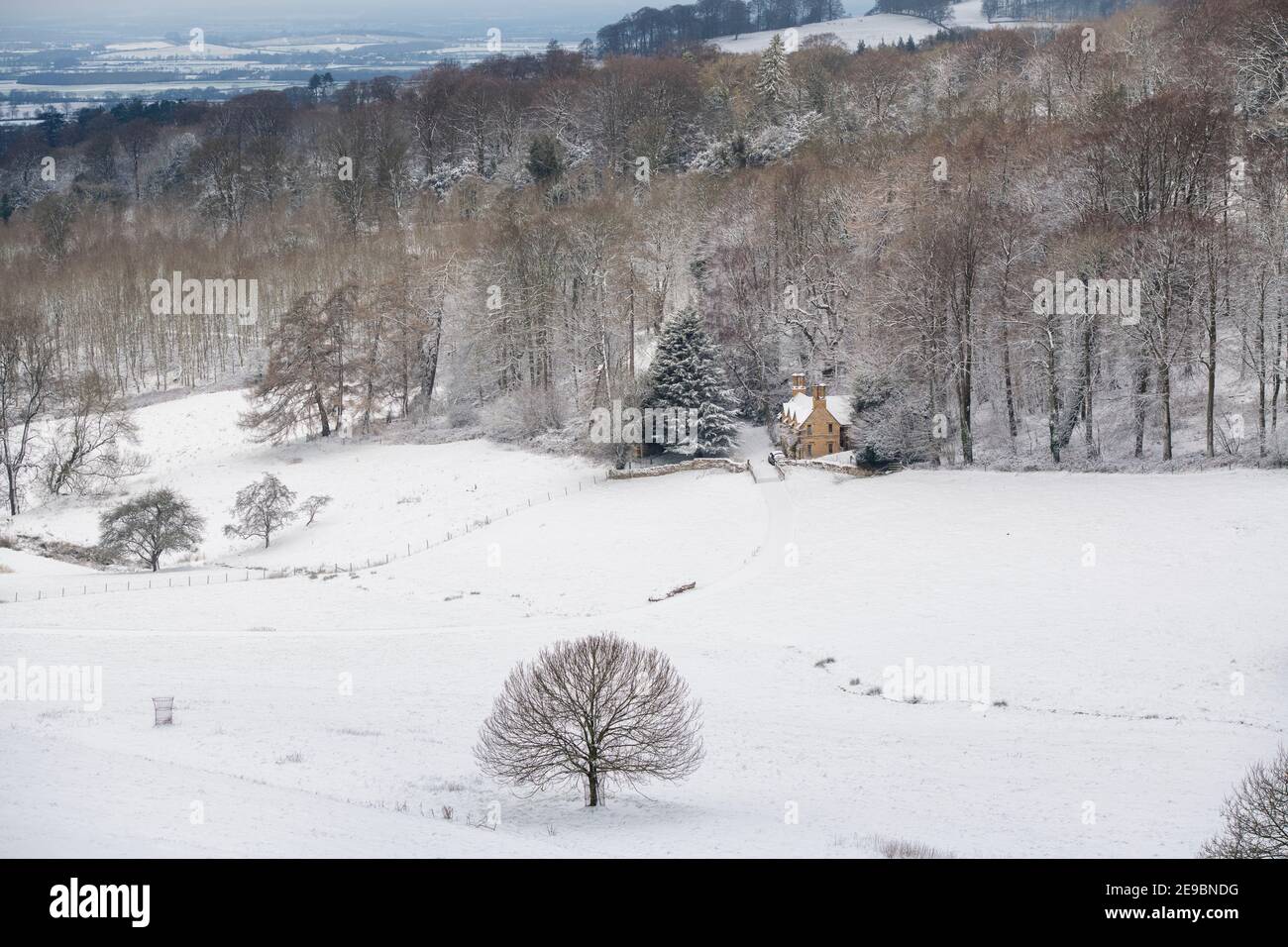 Cotswold cottage dans la neige au bord d'une forêt. Lower Coscombe, Cotswolds, Gloucestershire, Angleterre Banque D'Images