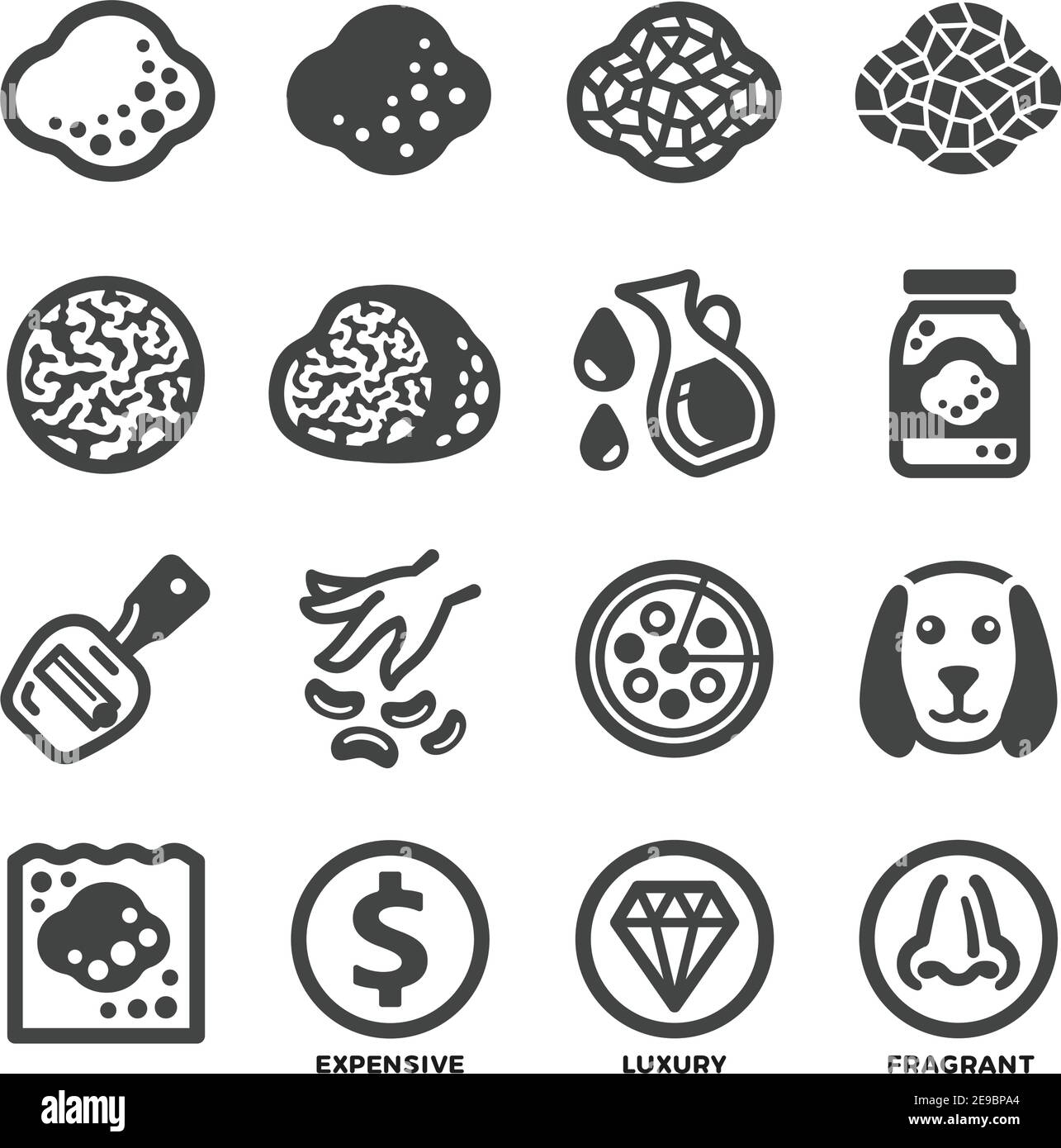 jeu d'icônes de champignons truffiers, vecteur et illustration Illustration de Vecteur