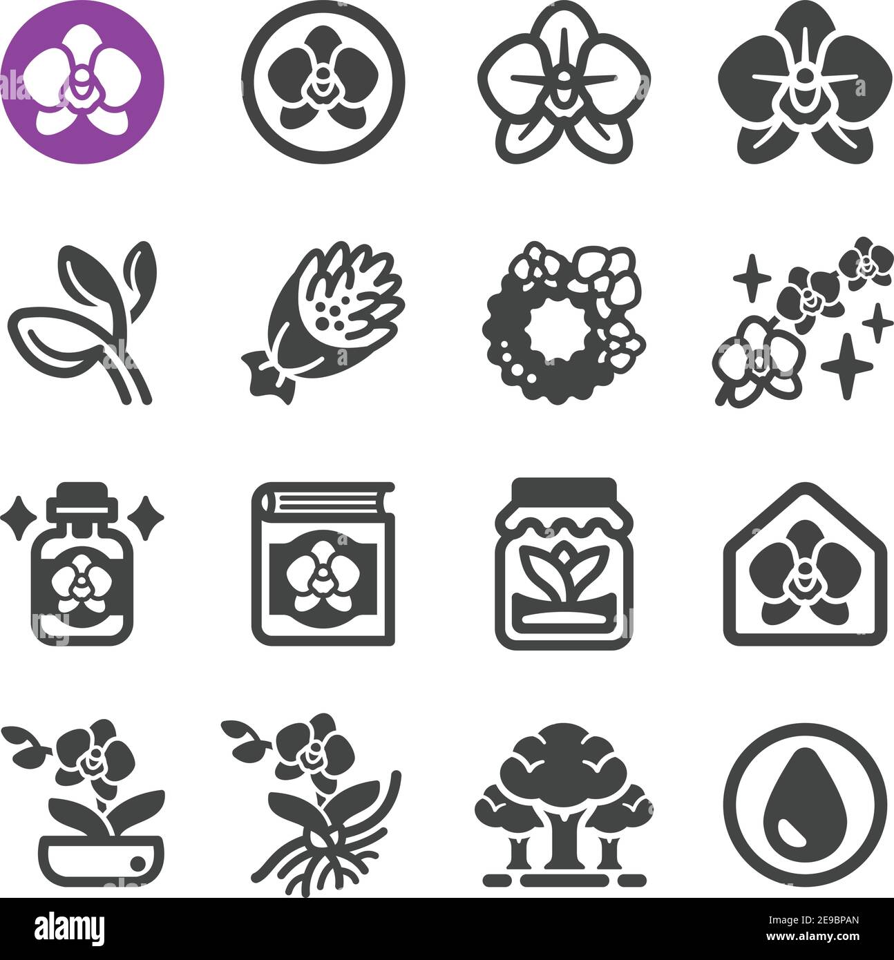 jeu d'icônes de fleurs d'orchidées, vecteur et illustration Illustration de Vecteur