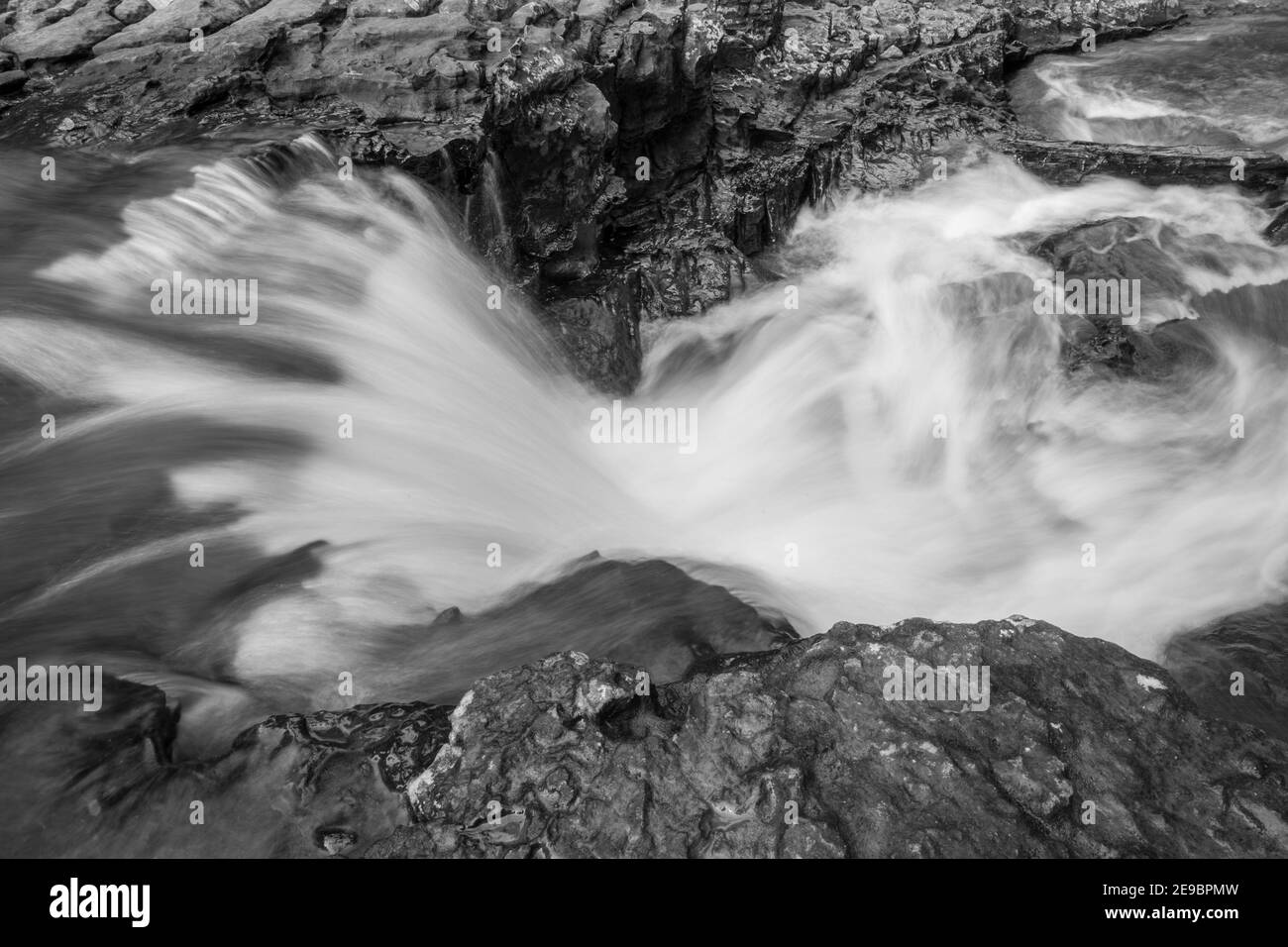 Cascade forestière, nature Banque D'Images