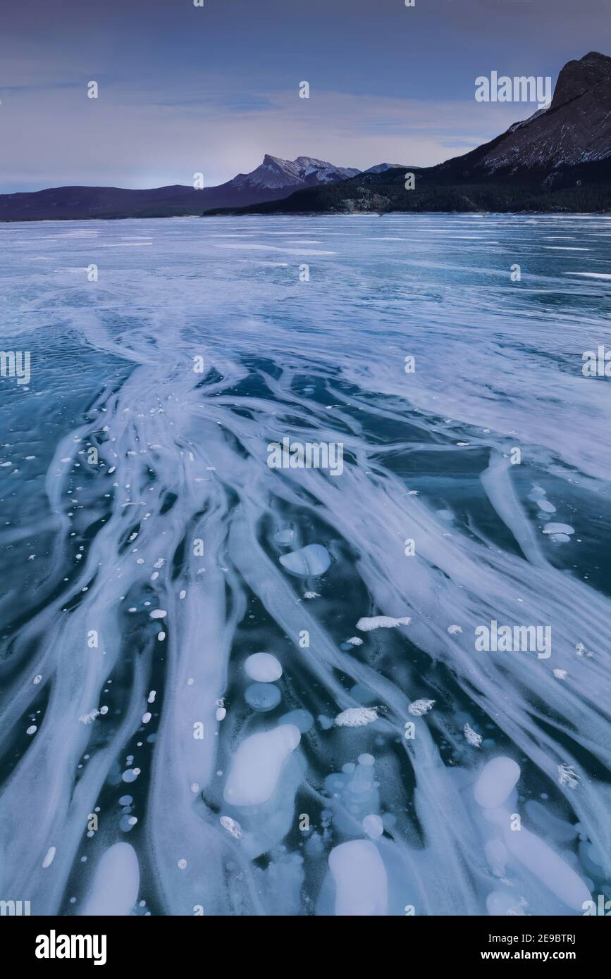 Bulles gelées dans le lac, Rocheuses canadiennes Banque D'Images