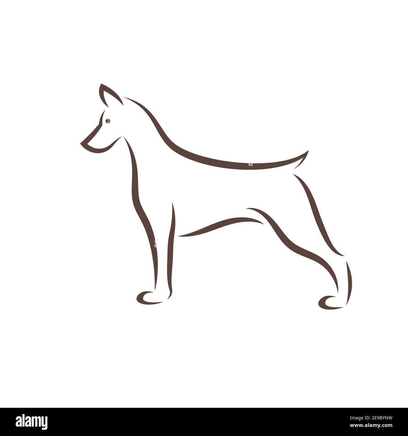 Vecteur de motif chien doberman Pinscher sur fond blanc. Illustration vectorielle superposée facile à modifier. Animaux de compagnie. Animaux. Illustration de Vecteur