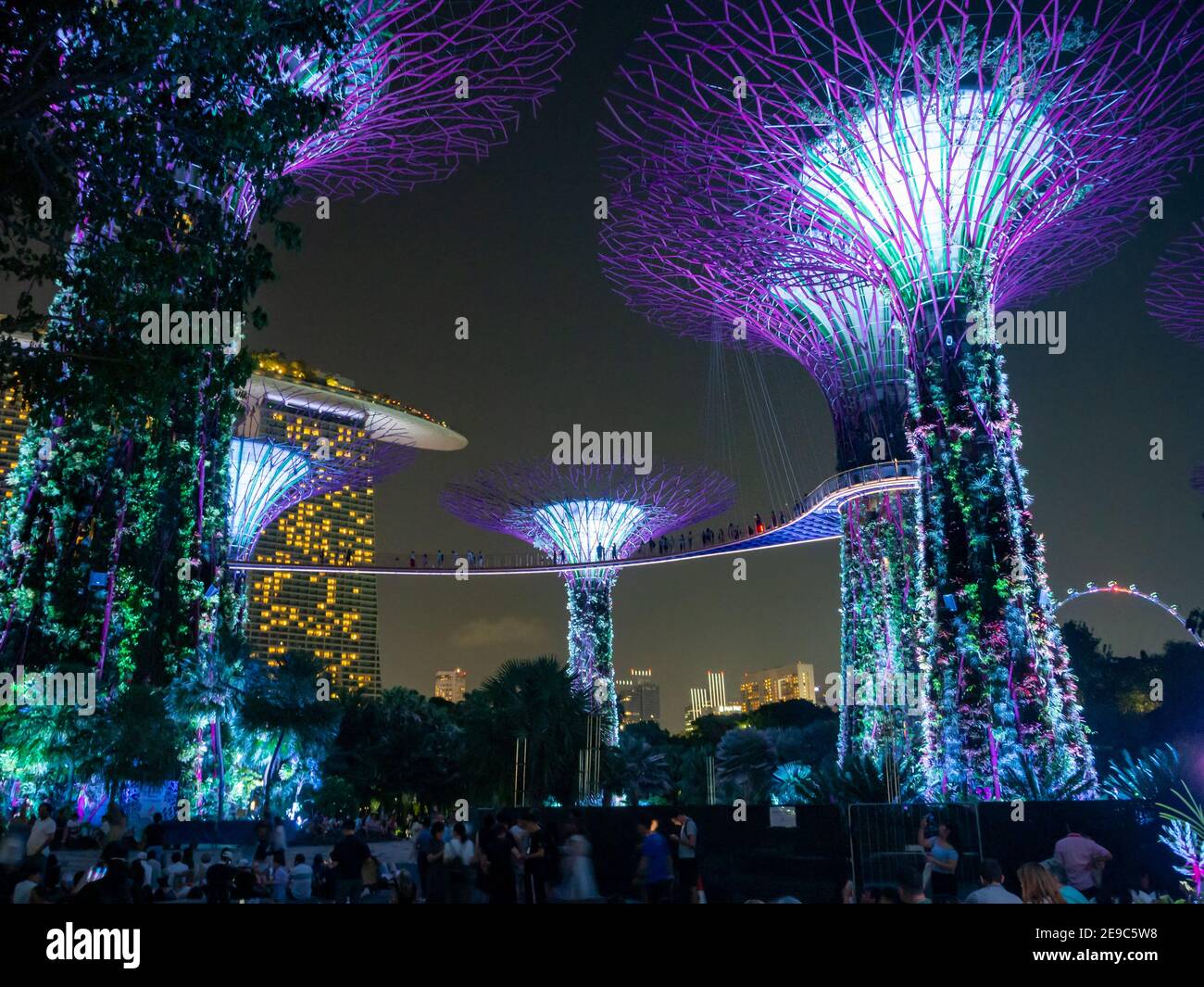 Supertree Grove à Gardens près du parc naturel urbain de la baie À Singapour Banque D'Images
