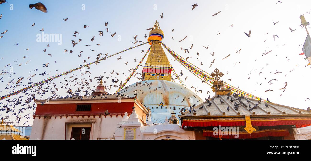 Katmandou, Népal - janvier 29 2021 : Boudhanath Stupa à Katmandou, Népal. Banque D'Images