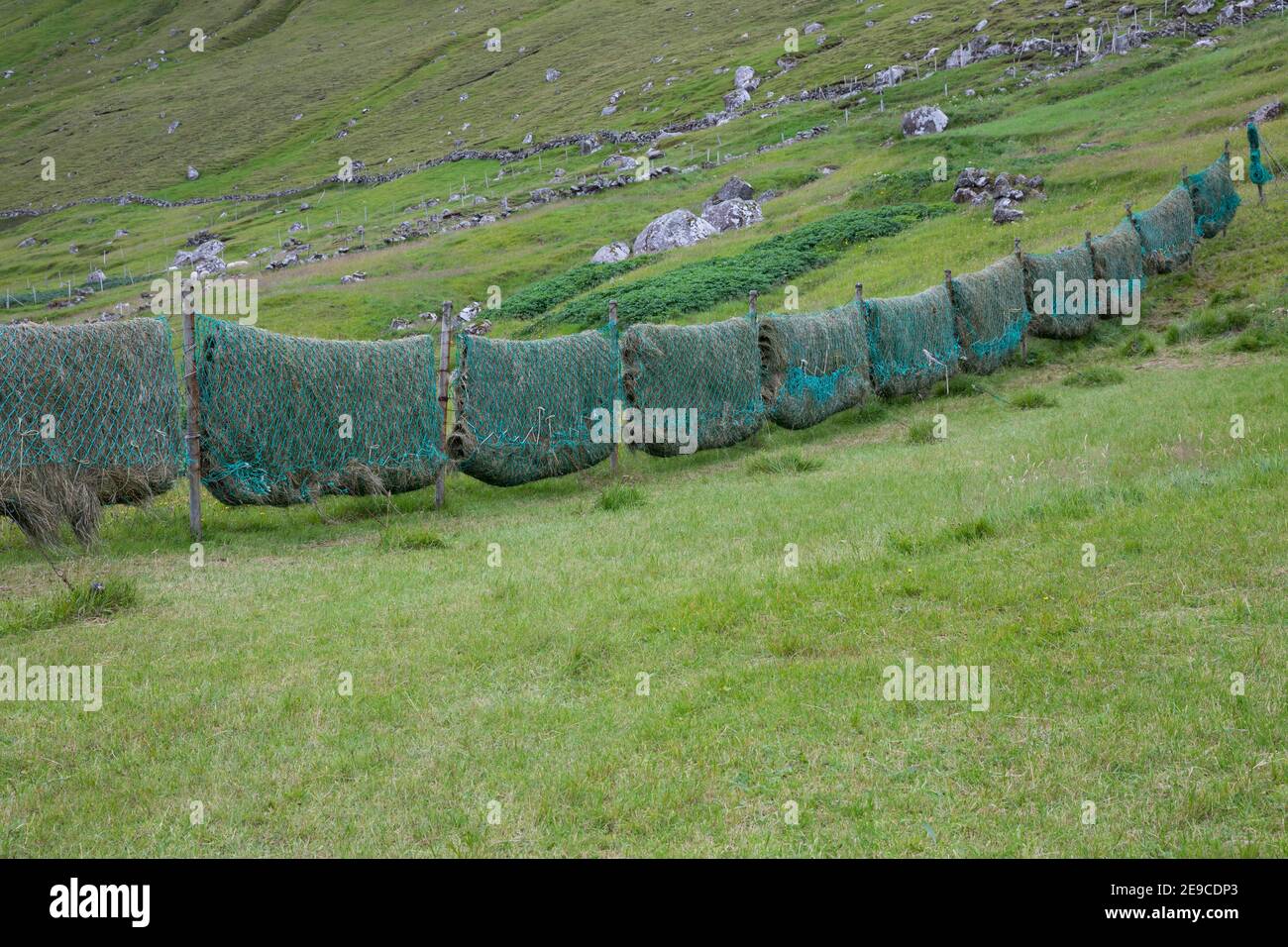 HEU trocknen in alten Fischernetzen, Heu machen, Heu, Färöer, Färöer-Inseln, Färöer Inseln, foin, pour faire du foin, à foin, à Faroe, Îles Féroé, les Îles Banque D'Images