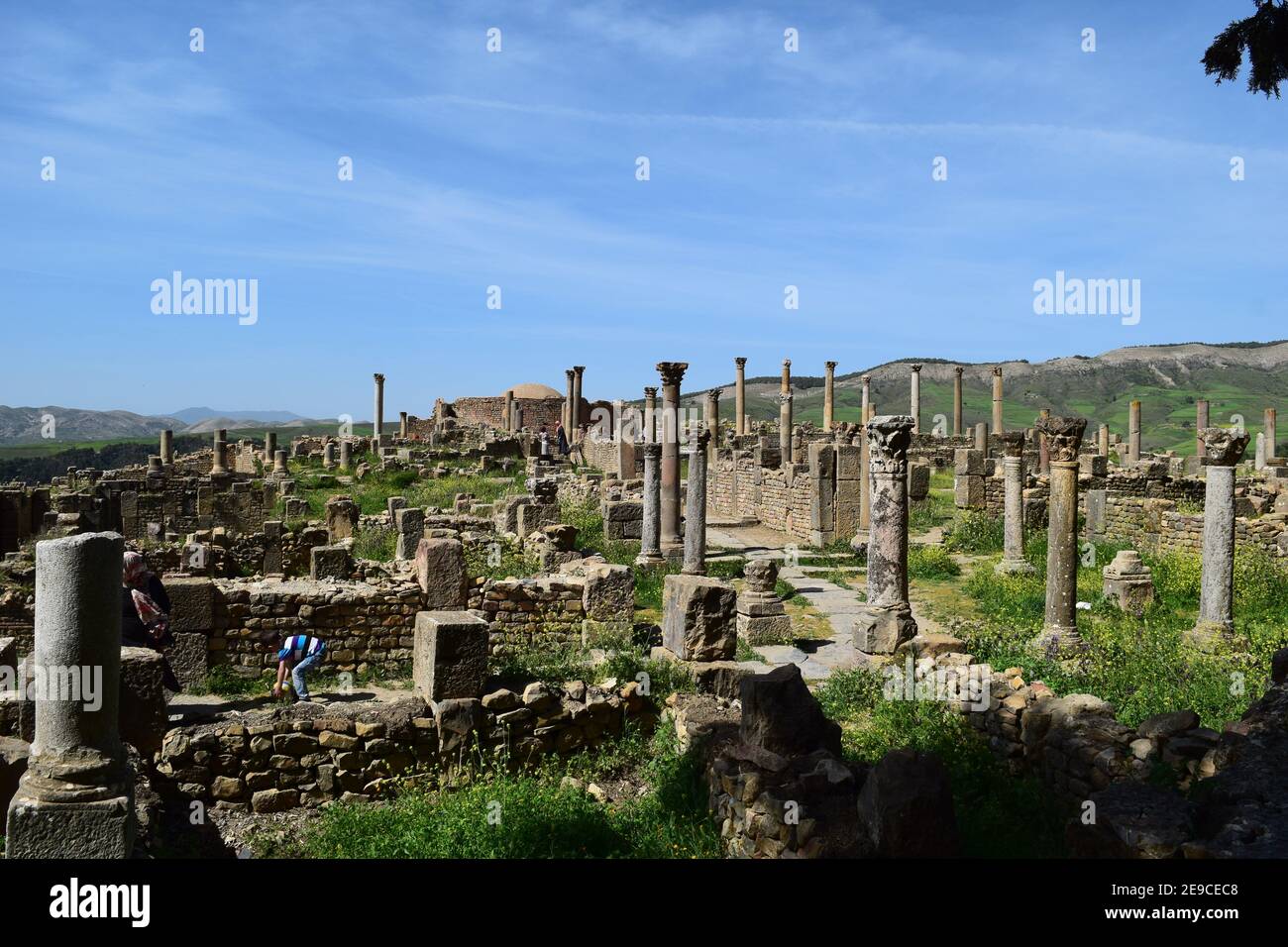Ruines romaines de l'ancienne ville de Djemila, Setif, Algérie Banque D'Images