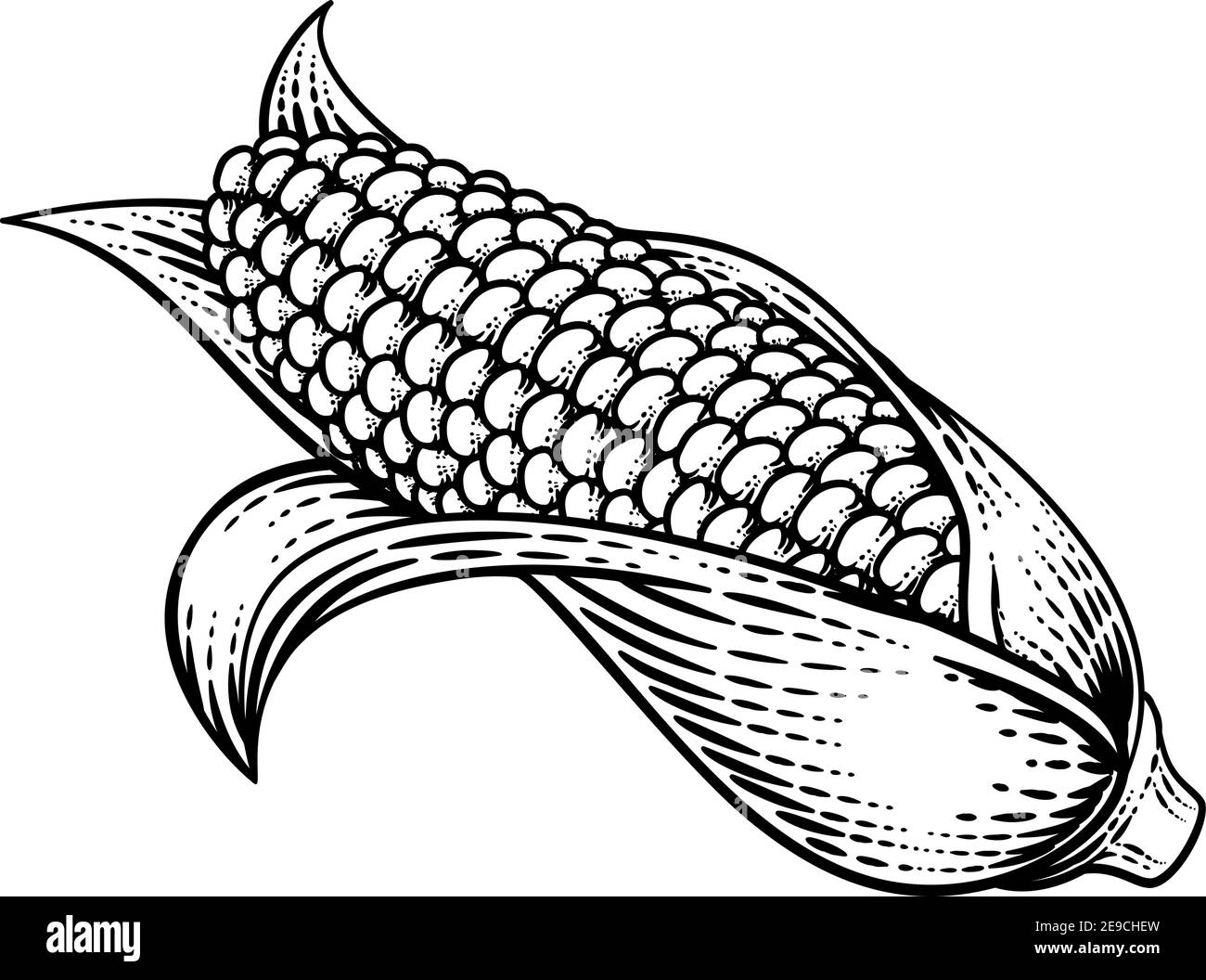 Black white cartoon illustration corn Banque d'images noir et blanc - Alamy Black white cartoon illustration corn Banque d'images noir et blanc - Alamy