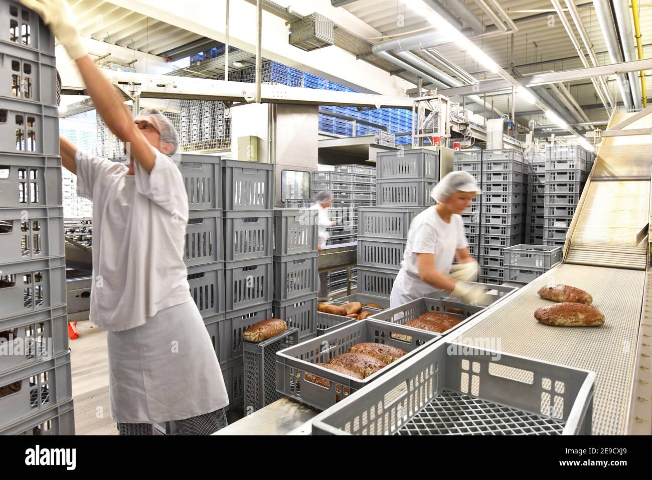 Travailleur dans une grande boulangerie - production industrielle de produits de boulangerie sur une chaîne de montage Banque D'Images
