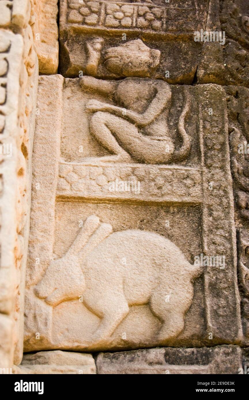 Un singe et un lapin, deux animaux dans le zodiaque chinois. Sculpture ancienne sur un mur extérieur du temple de Baphuon, partie d'Angkor Thom, Cambodge. Ancien c Banque D'Images