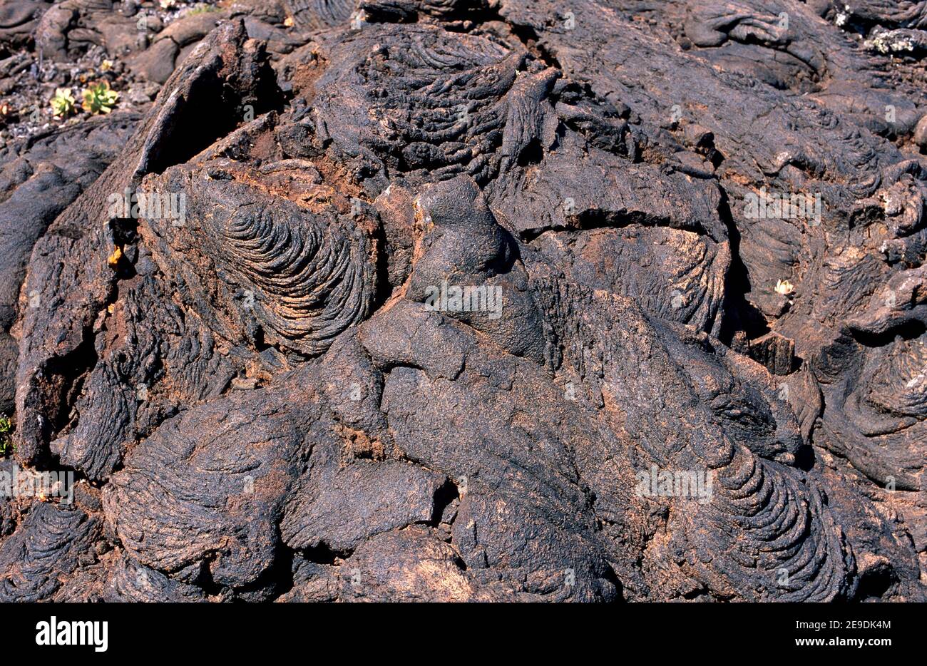 Pahoehoe. El Hierro, Îles Canaries, Espagne. Banque D'Images