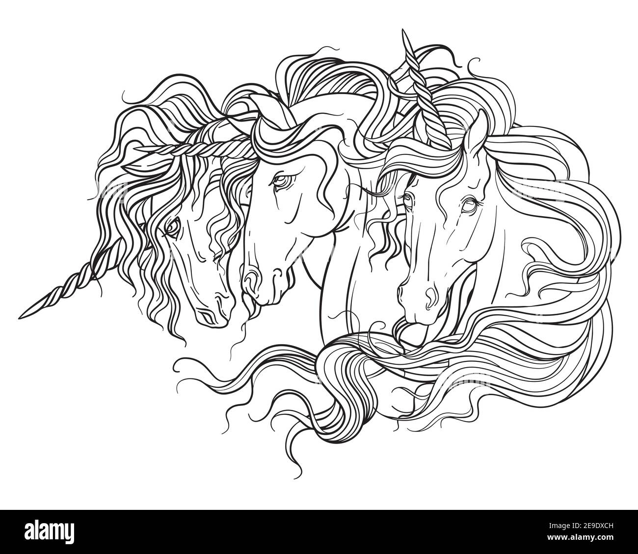 Portraits de trois licornes avec une longue calaque. Illustration de contour noir et blanc vectoriel pour la page de coloriage. Pour la conception d'imprimés, d'affiches, de posters Illustration de Vecteur