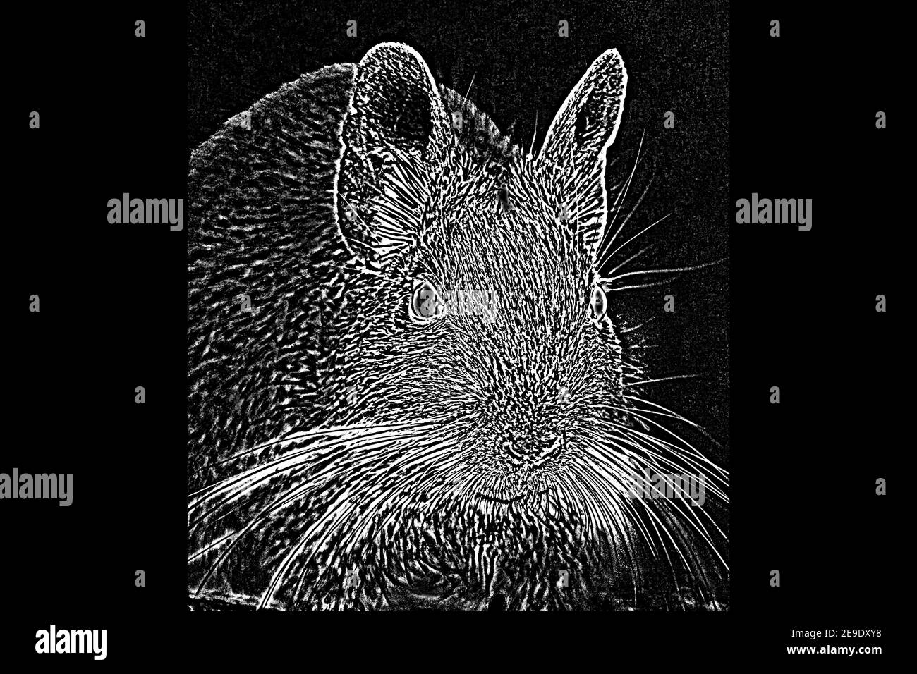 Dessin abstrait surréaliste d'une souris sur fond noir Banque D'Images
