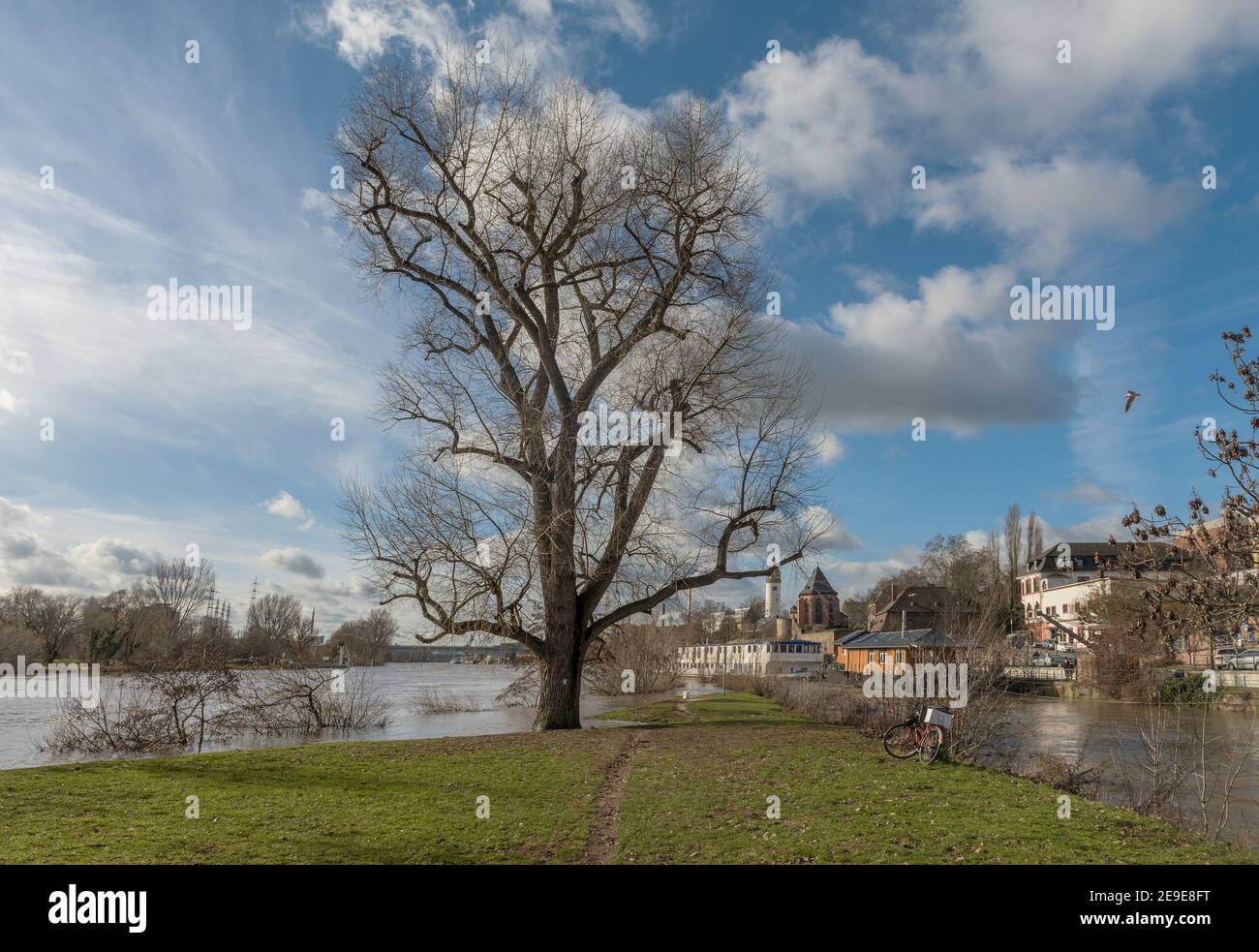 Paysage fluvial de la rivière Wintry (main, Nidda) près de Francfort-Höchst Banque D'Images