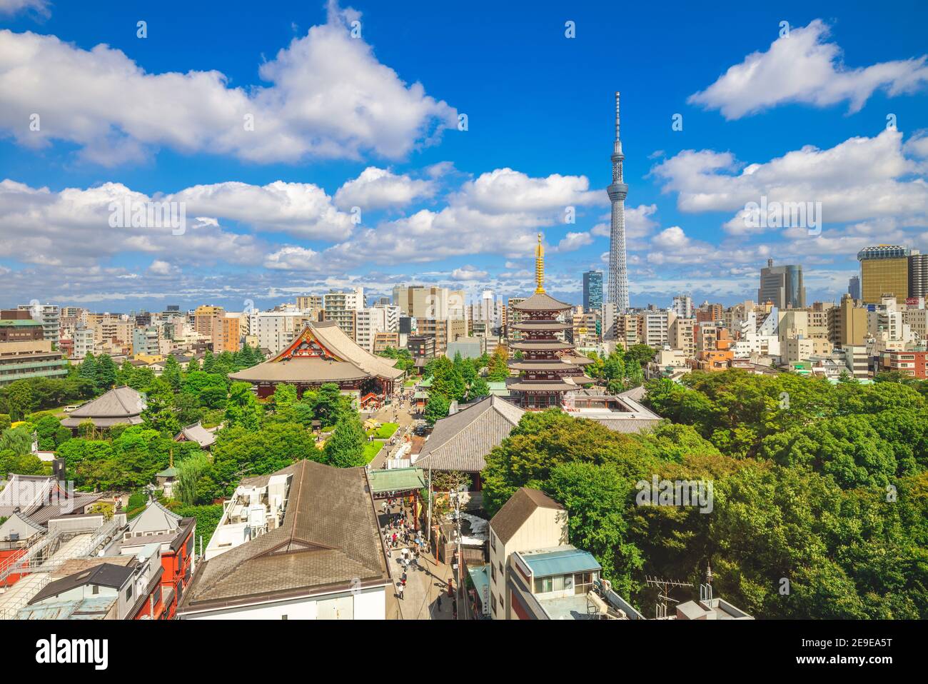 Vue aérienne de la ville de tokyo avec temple senso au japon Banque D'Images