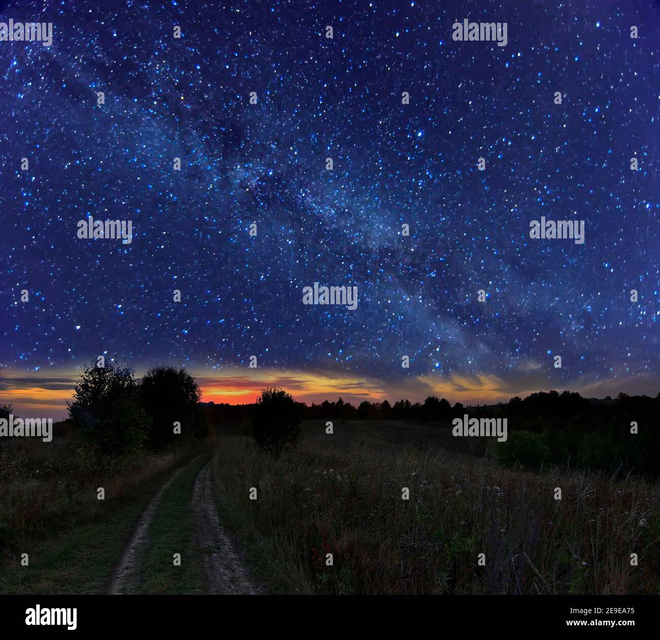 Paysage étoilé de nuit d'été - voie lactée sur route de campagne sur prairie. Vue nocturne des étoiles lumineuses sur un ciel bleu foncé. Bande étroite de soleil brillant Banque D'Images