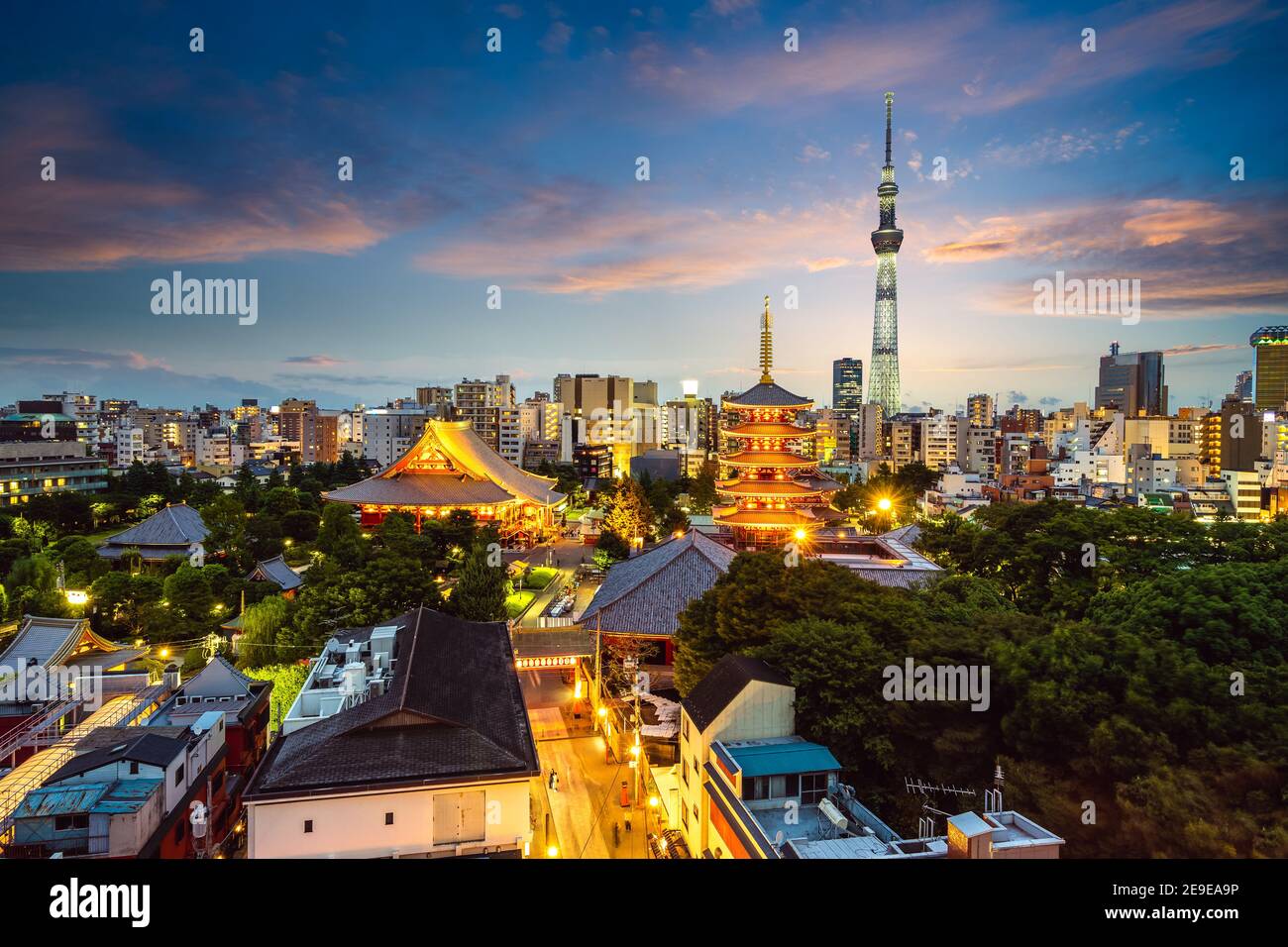 Vue aérienne de la ville de Tokyo dans la nuit au Japon Banque D'Images