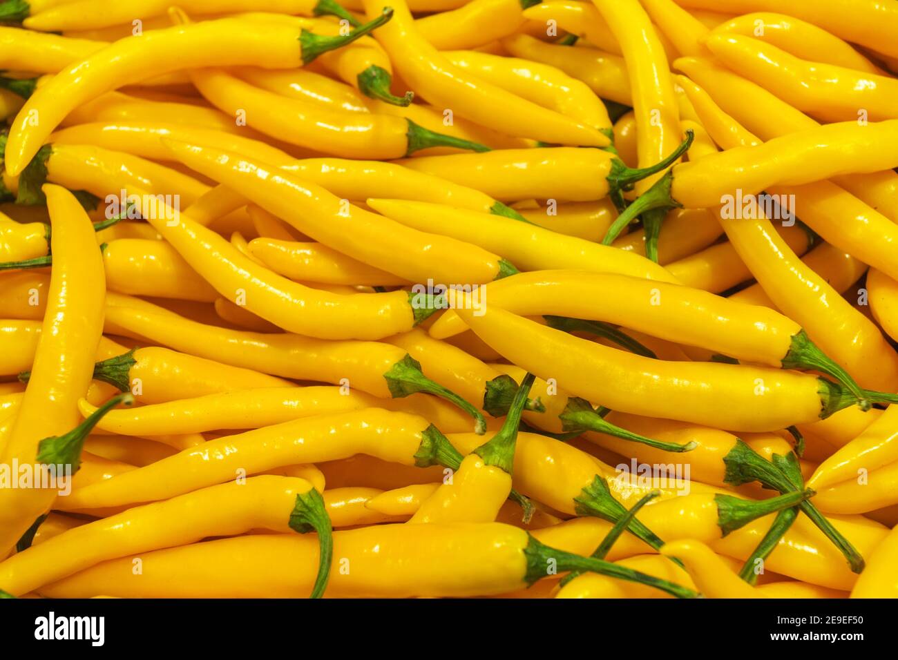 Poivrons jaunes sur le marché des légumes ou dans un magasin de gros. Fond de poivre. Banque D'Images