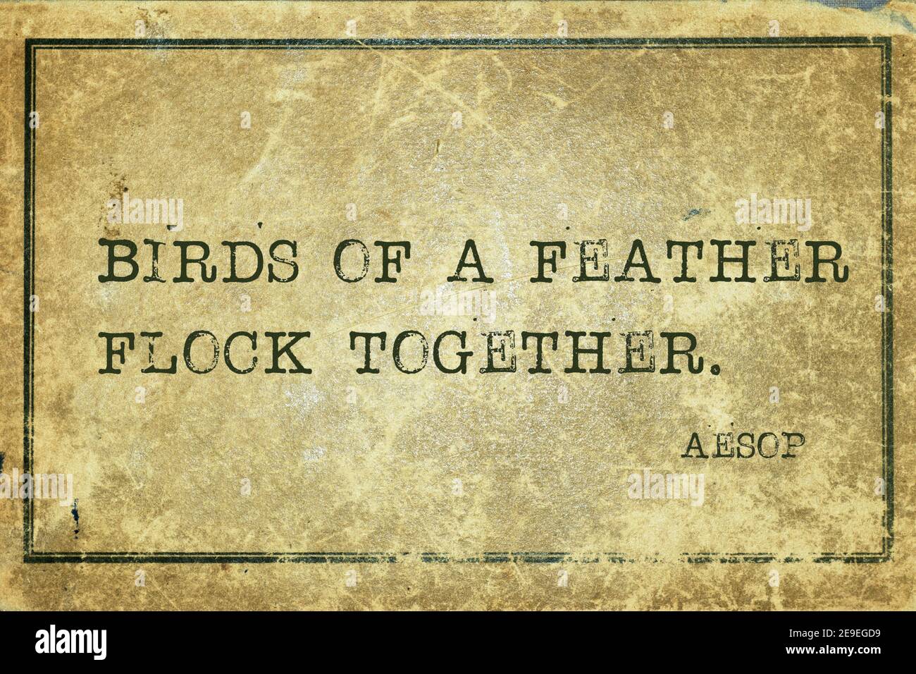 Les Oiseaux D Une Plume Se Rassemblent Celebre Grec Ancien Citation D Aesop Imprimee Sur Du Carton D Epoque Grunge Photo Stock Alamy