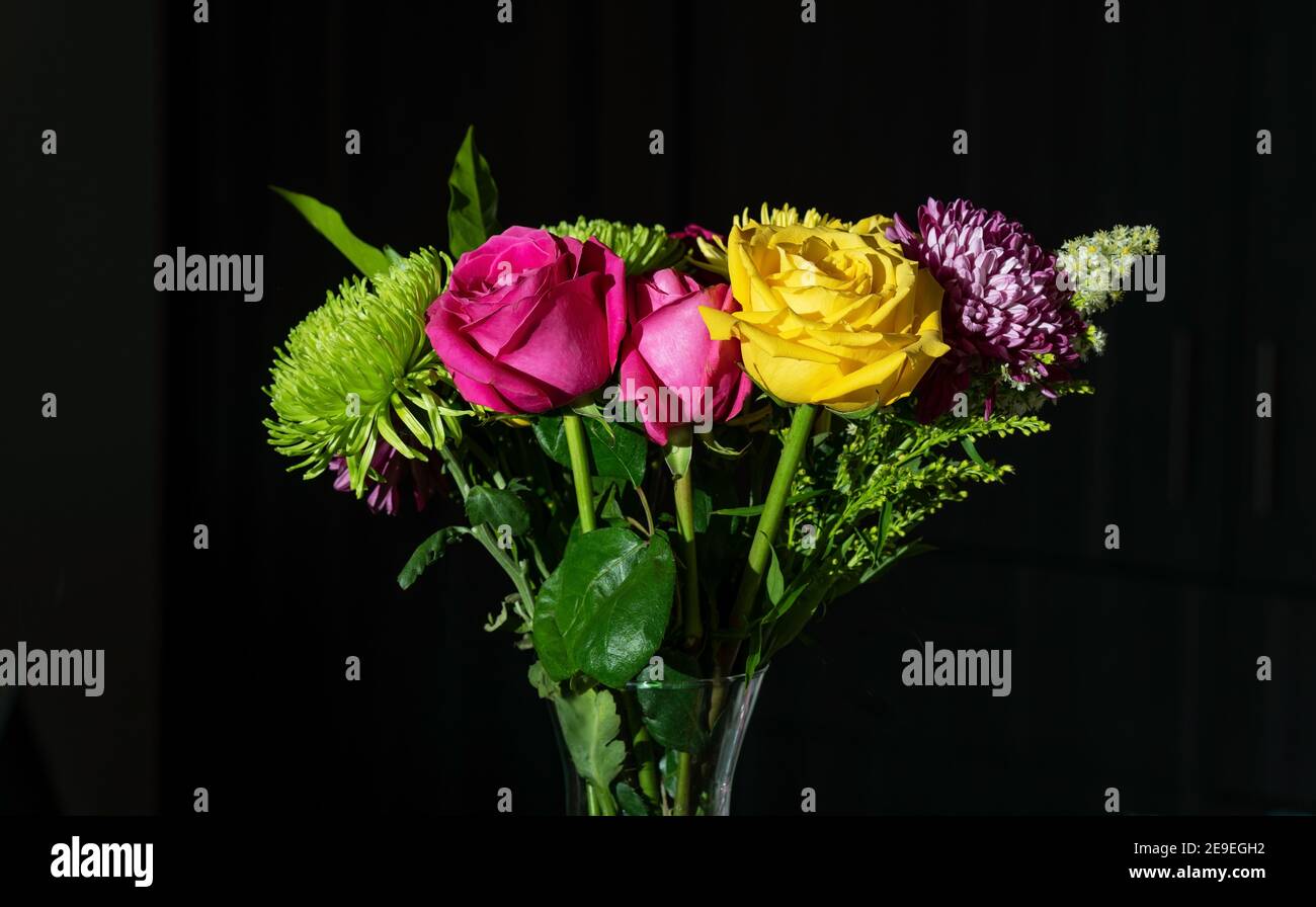 Bouquet de fleurs de Saint-Valentin avec roses jaunes équatoriennes et fuchsia et chrysanthèmes à fond noir. Banque D'Images