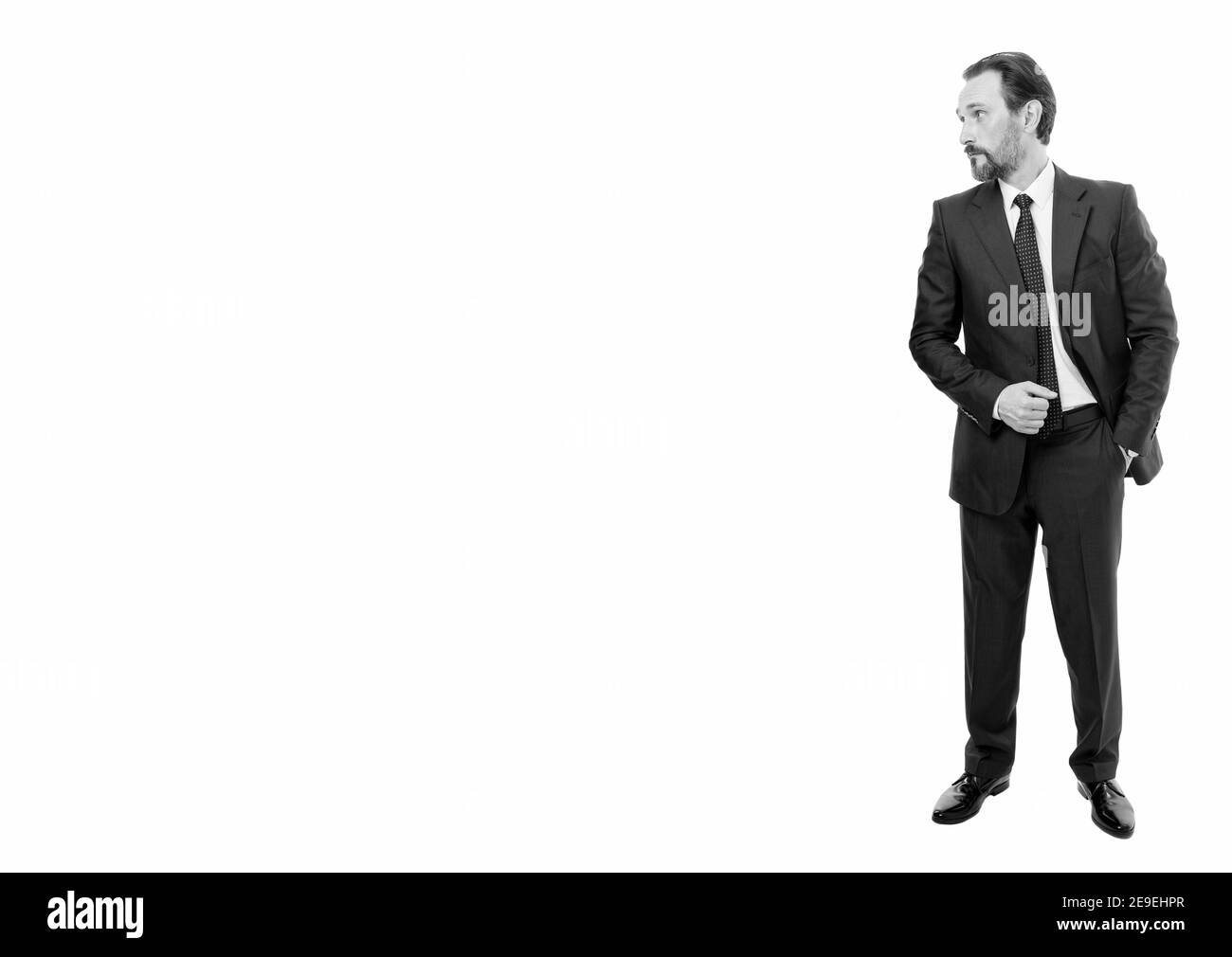 Homme d'affaires. Commencez maintenant. Les hommes d'affaires envisagent de lancer la startup. Entreprise de démarrage. Société de démarrage. Propriétaires de petites entreprises prospères. Hommes barbus en costumes habillés. Création de leur démarrage. Banque D'Images